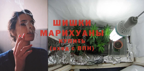 стаф Балахна