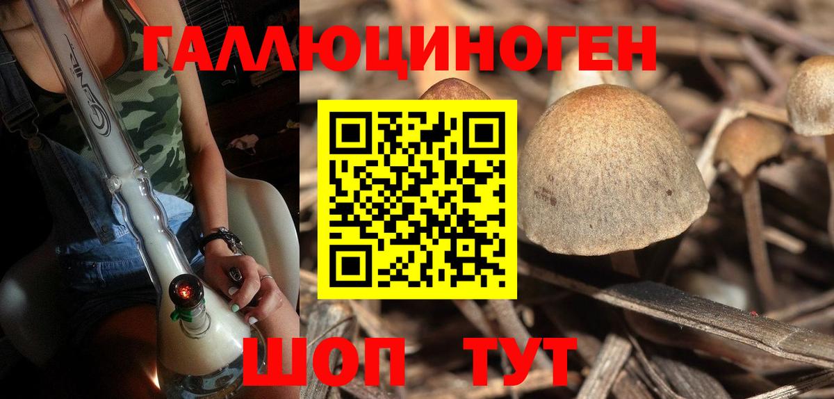 Псилоцибиновые грибы прущие грибы  Вход с VPN  купить наркотики цена  Наро-Фоминск 